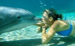 Bree Wee trains and lives on big island of Hawaii.