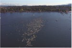 Athletes take on the 2.4-mile swim at Coeur d'Alene Lake. Photo provided by Ironman.