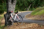 Cannondale Slice liz_3