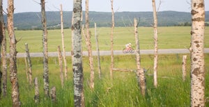 70.3Calgary_Trees_byJayPrasuhn 2009 was the first year for the Ironman 70.3 Calgary triathlon. Photo: Jay Prasuhn