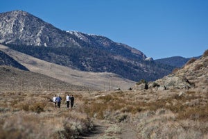 Training at altitude has become a trend among endurance athletes.