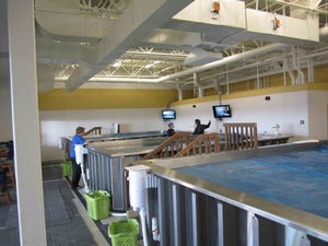 Road Trippin' Triathlete These custom-built endless pools allow for multiple lessons to take place at once.