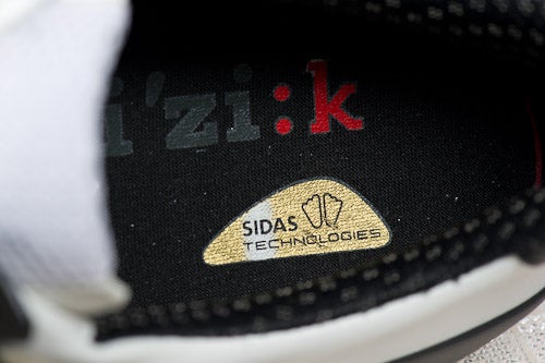 Fizik