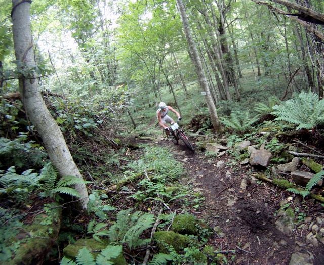 Xterra