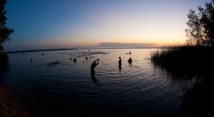 Ironman 70.3 Austin