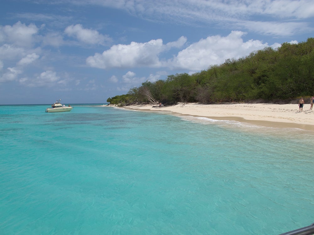 Photo: Bethany Mavis