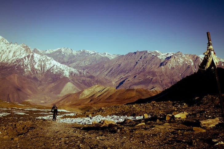 Yak