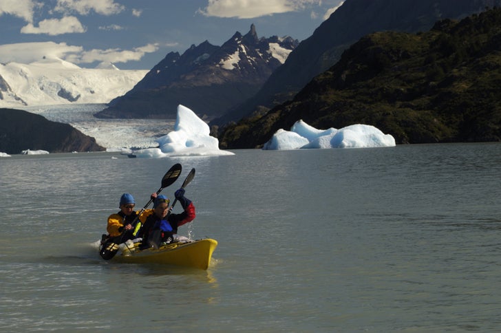 Patagonian