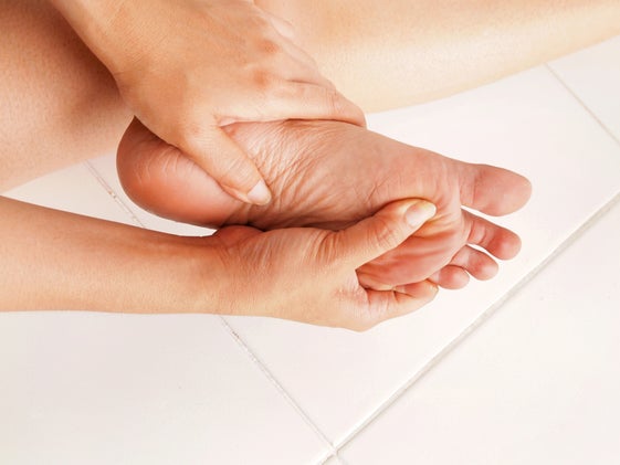 Photo: Shutterstock.com