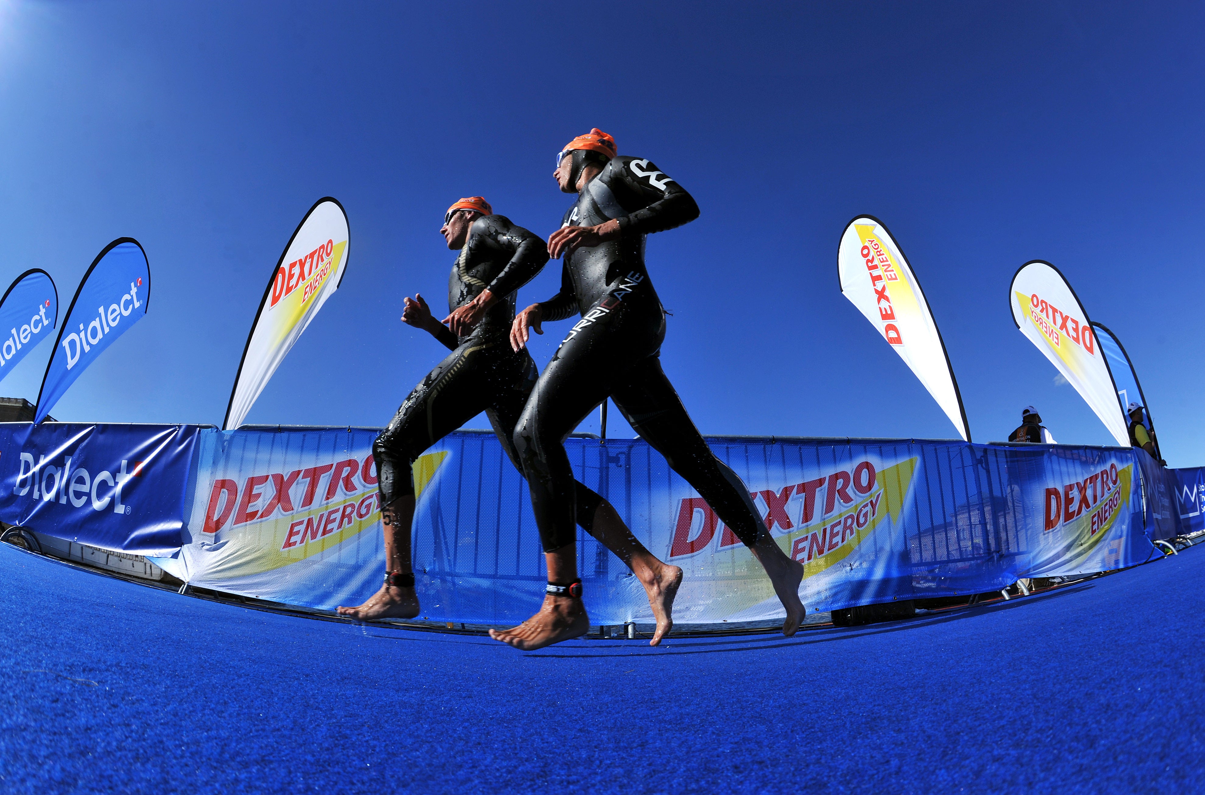 Photo: Janos Schmidt/Triathlon.org