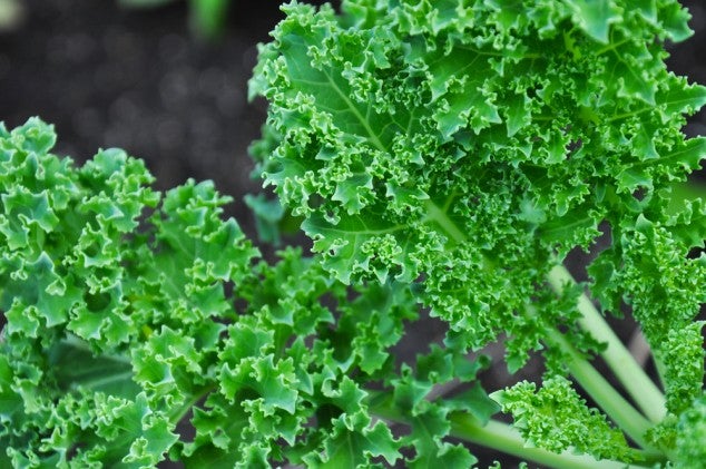 Photo: <a href=http://shutterstock.com>Shutterstock.com</a>