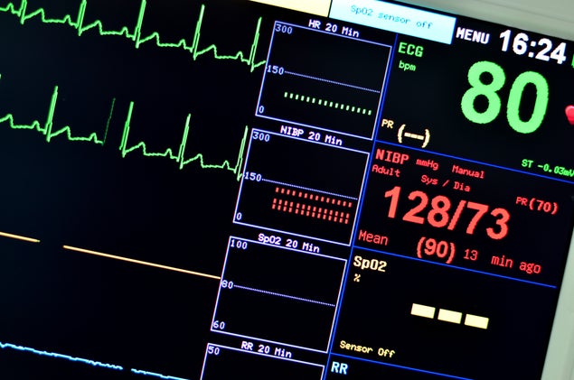 Photo: Shutterstock.com