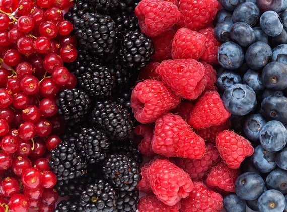 Photo: Shutterstock.com