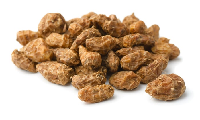 Photo: Shutterstock.com