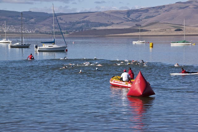 Enlarged Hearts May Be To Blame For Triathlon Swim Deaths