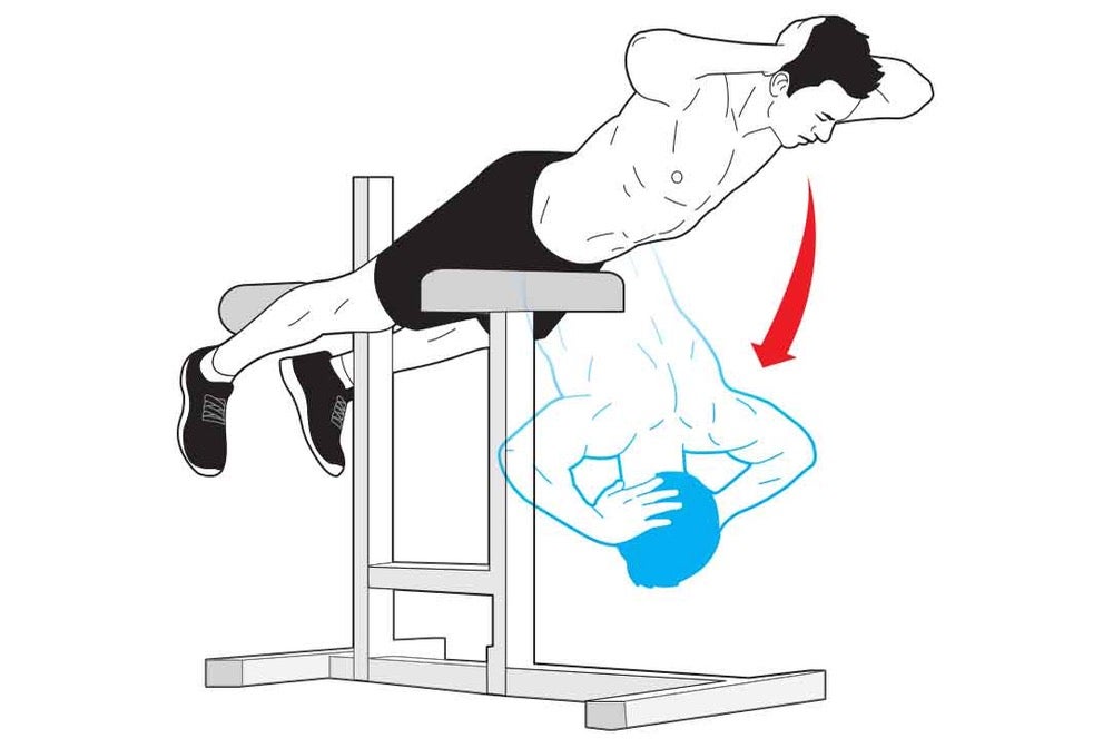 Dynamic 2024 back exercises