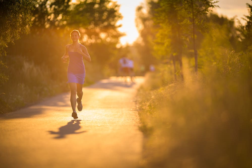 The Science of 80/20 Training