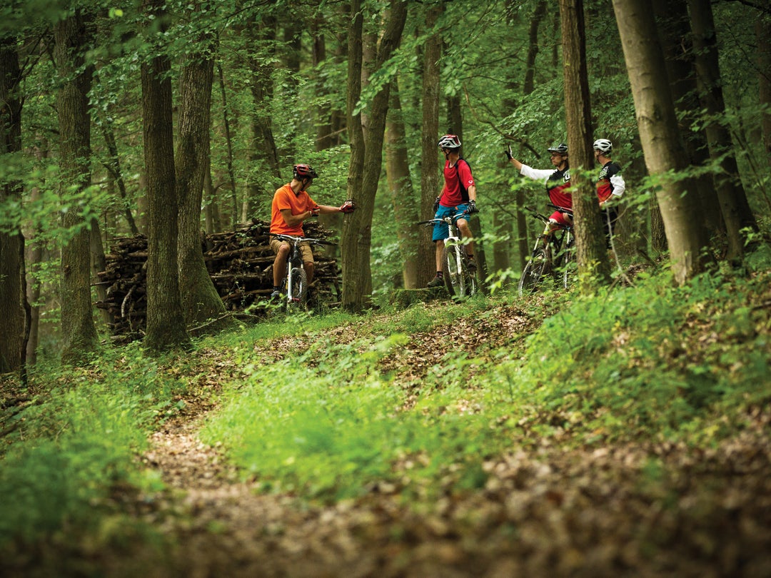 best jobs for triathletes