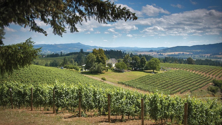 wine country