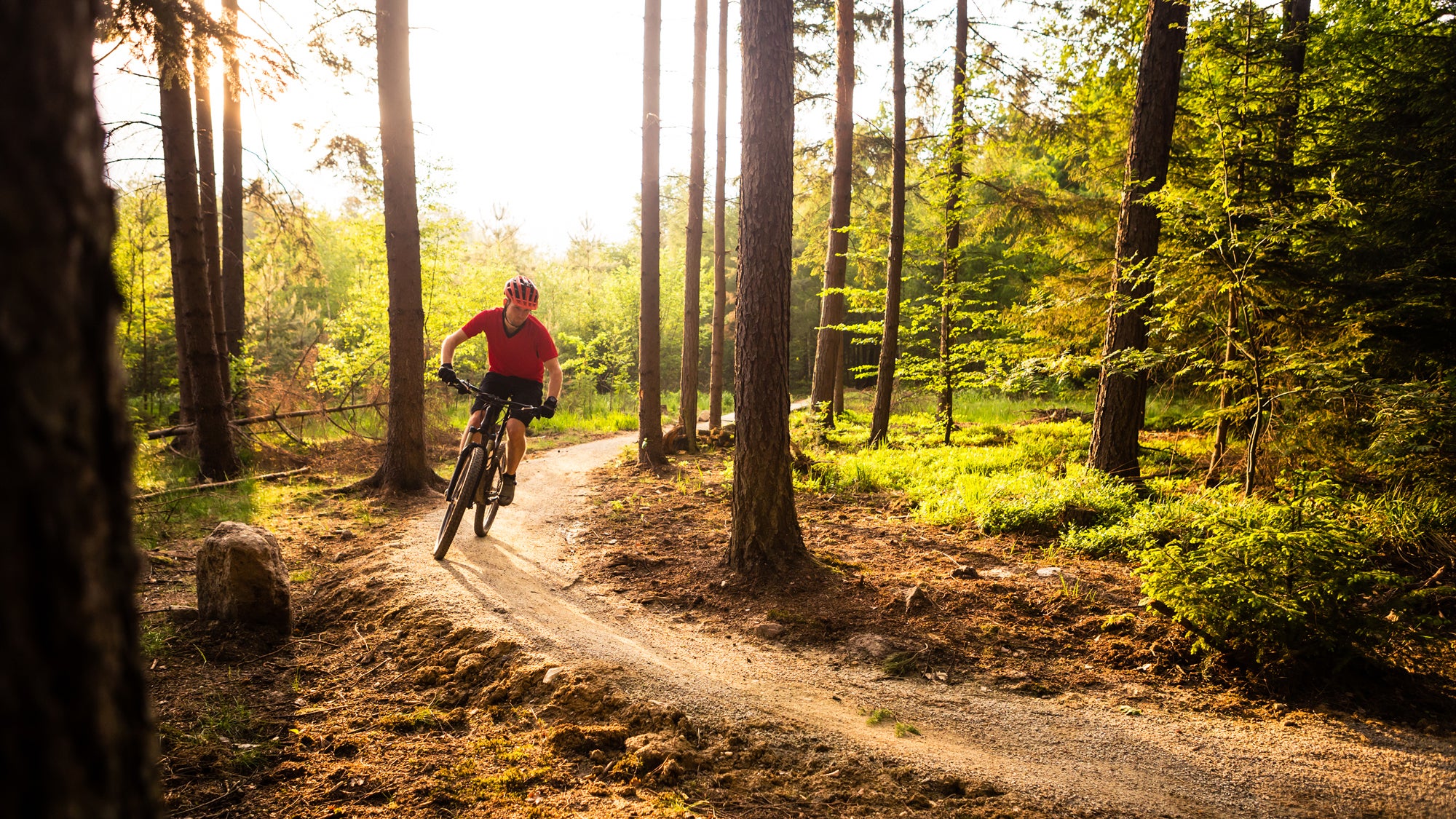 Beginner mountain biking near me sale