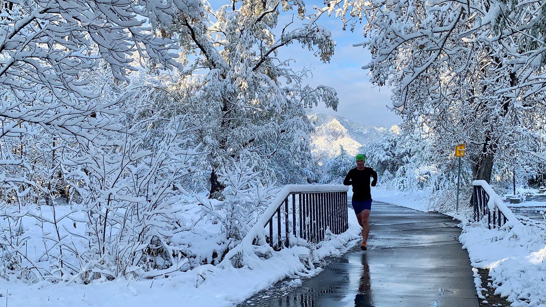 The Best Winter Running Shoes for Snow and Ice – The Runner's Plate