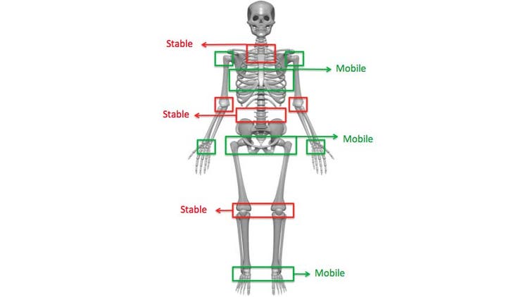 Ask A Trainer: What's the Difference Between Flexibility, Stability ...