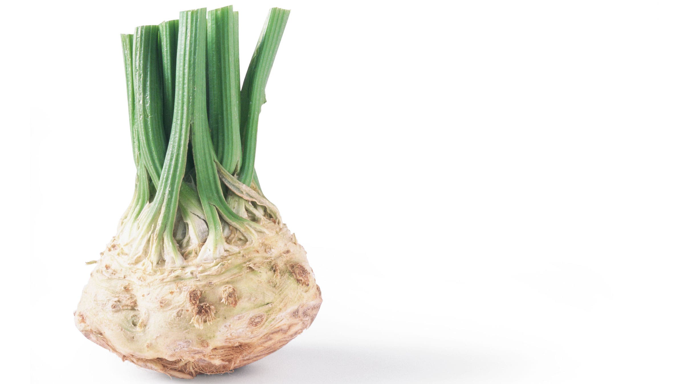 Celery root on white