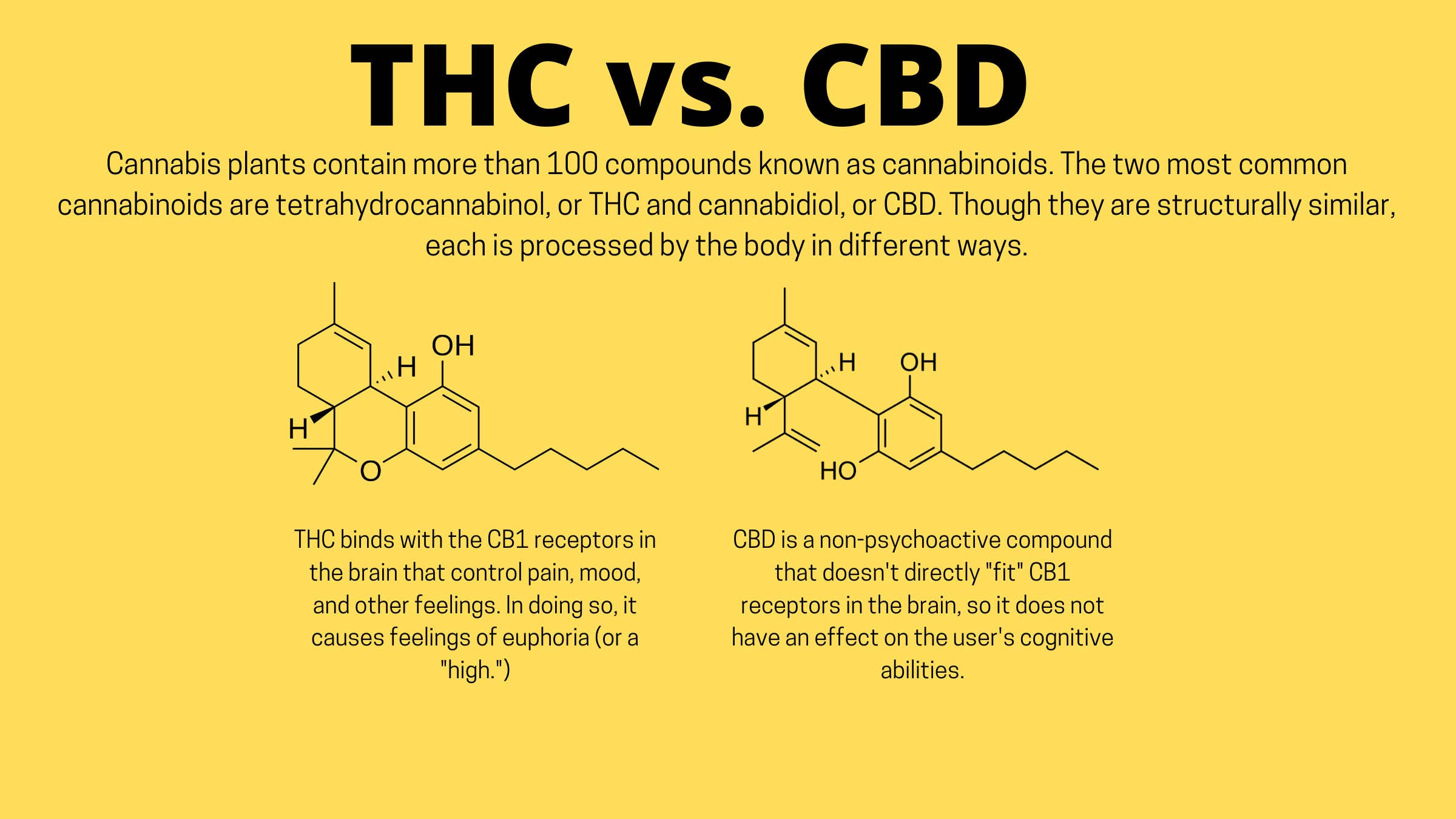 Infographic describing the differences between THC and CBD