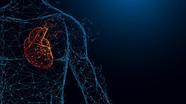 Understanding the Athlete's Heart