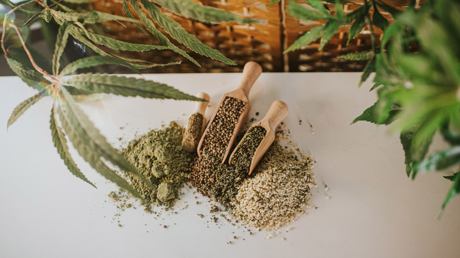 Hemp seeds are a great choice for plant protein.