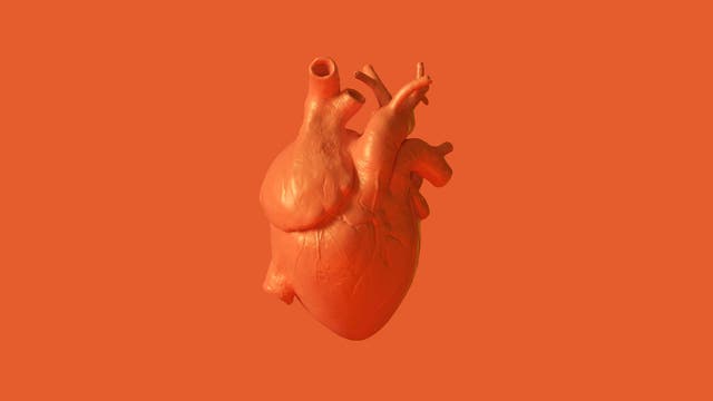 Study Finds Less Than 1% of Professional Athletes Developed Inflammatory Heart Disease after COVID-19