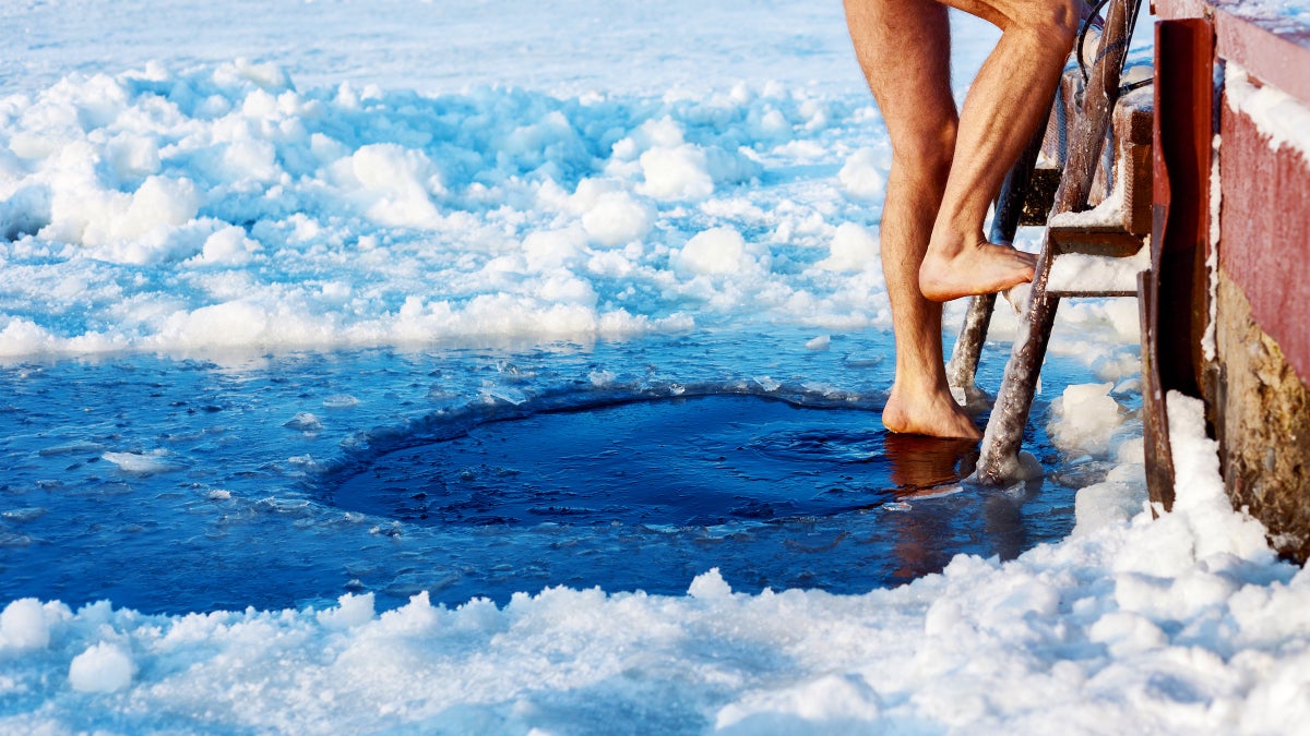 Too Hot or Too Cold? Temperature Regulation Strategies in Extreme ...