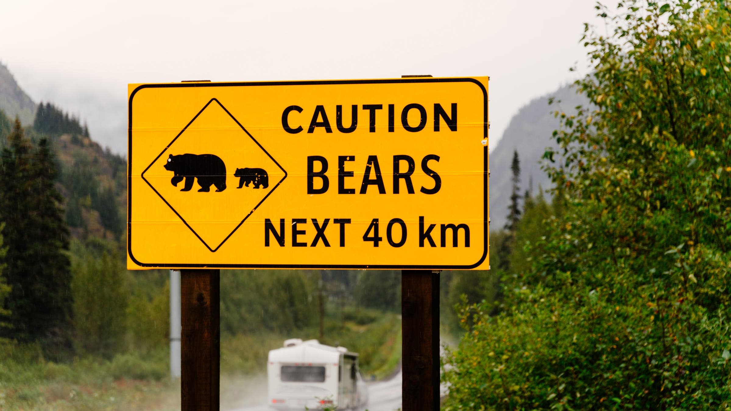 Caution Bears Sign