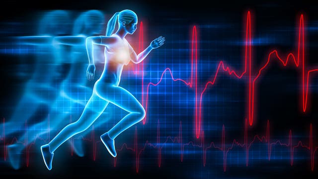 Do Triathletes Need to Worry About Heart Attacks?