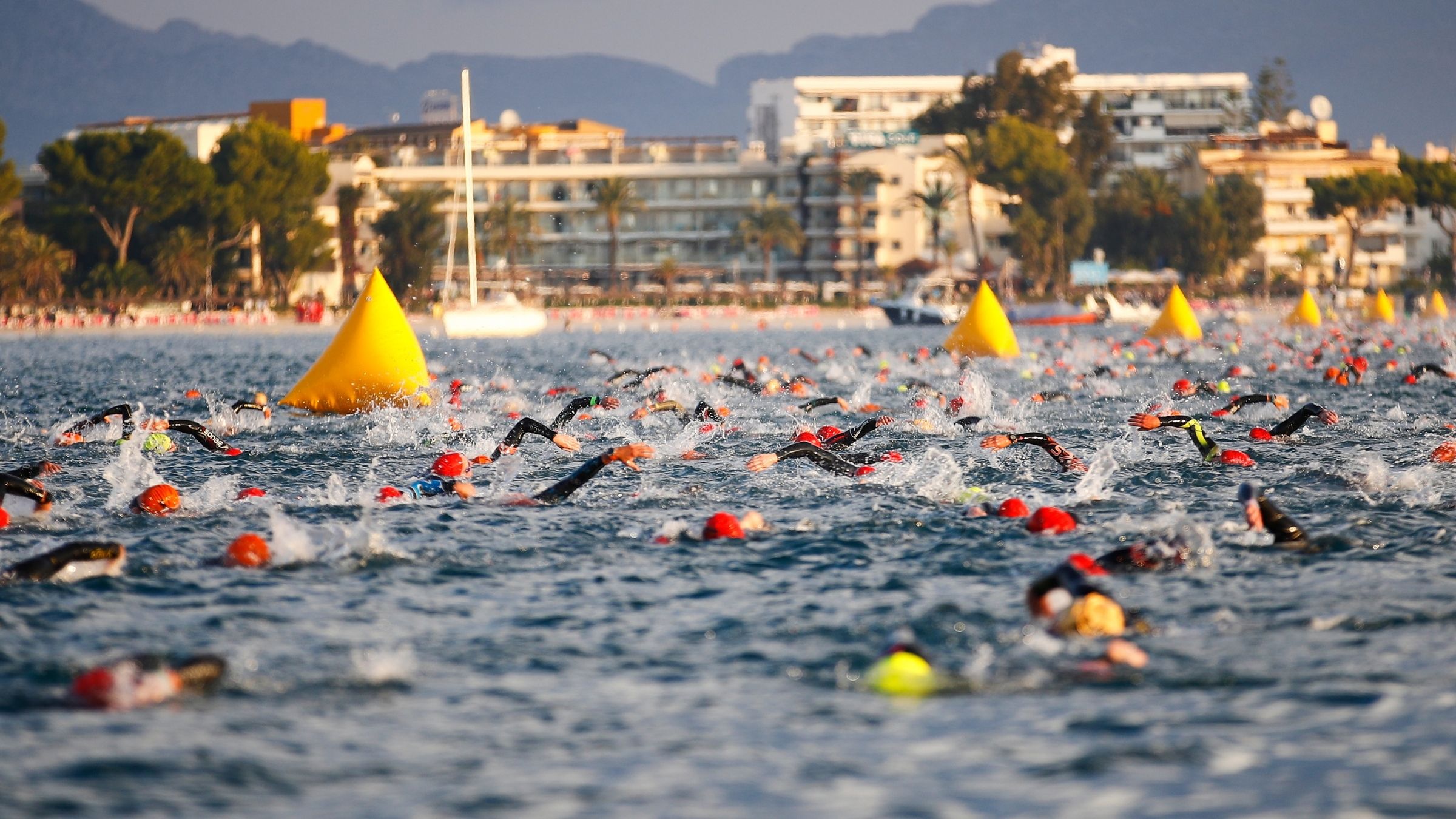 The open-water swim of a triathlon