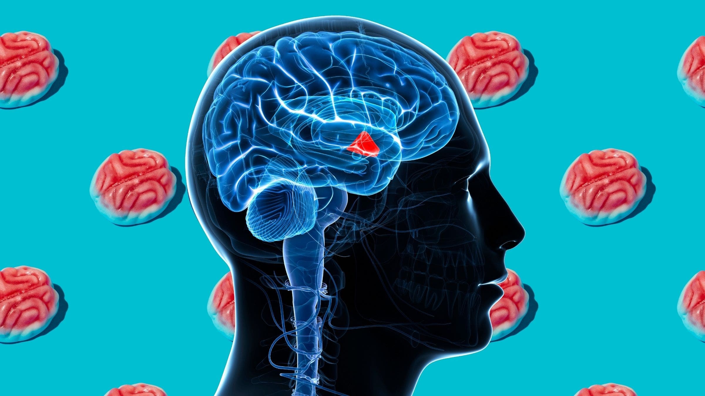 Brain Control Hunger Understanding Your Brain's