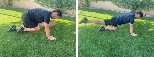 A triathlete does bird dogs, one of the best core exercises for triathletes