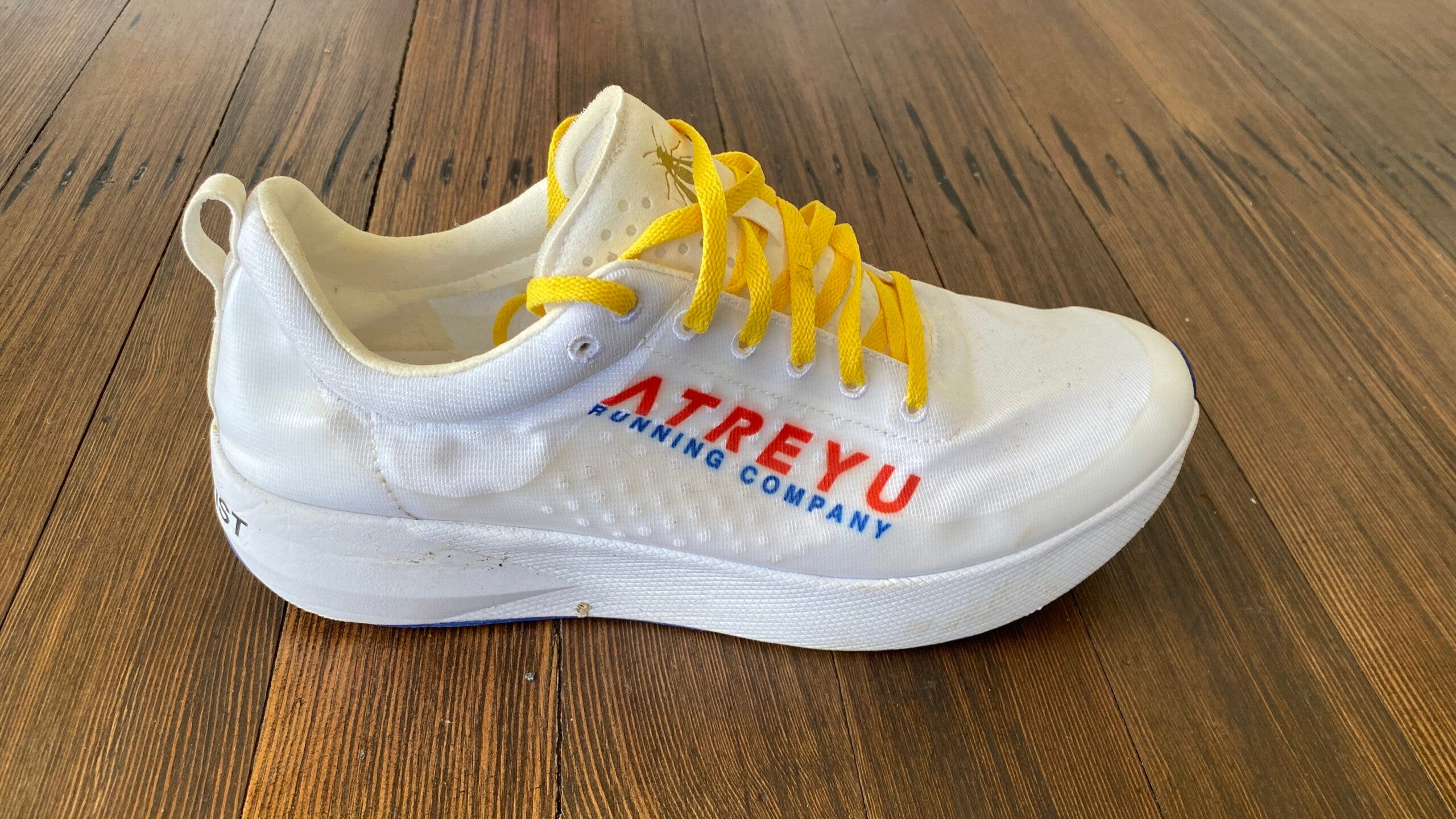 The Atreyu Artist, reviewed for this article