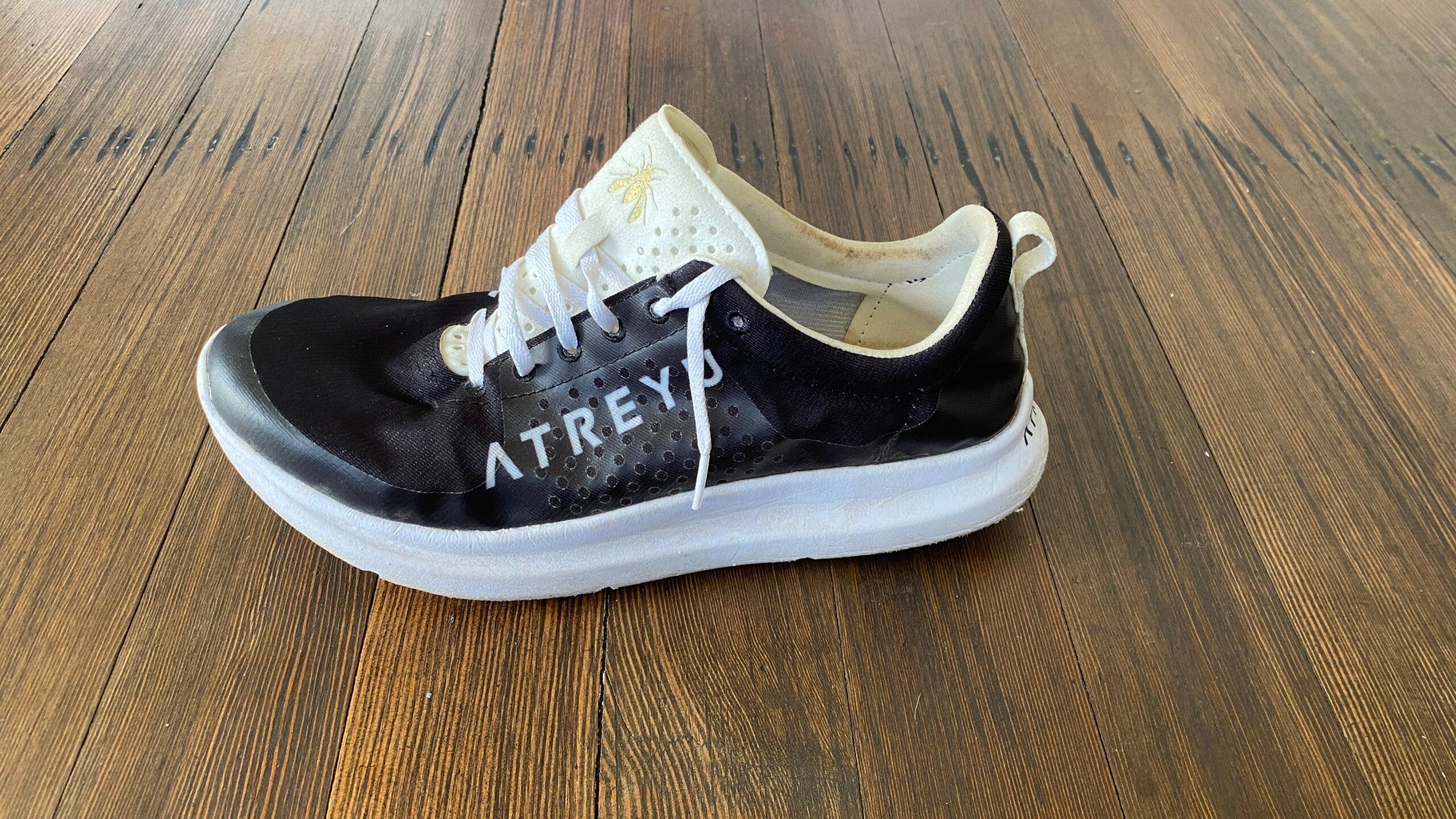 The Atreyu Base Shoes reviewed for this article