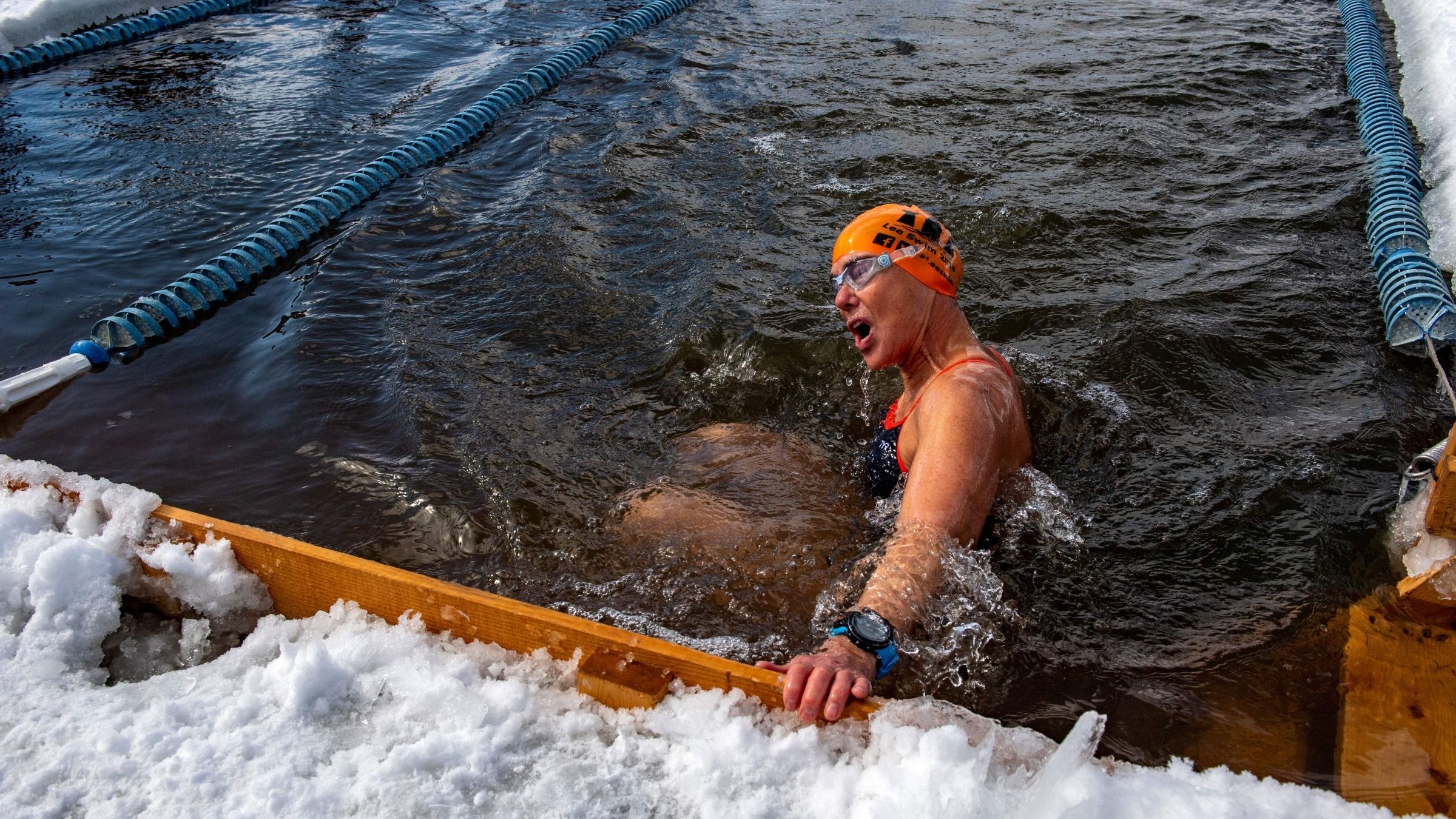 New York City's Secret World of Open Water Swimming Challenges – World Open  Water Swimming Association