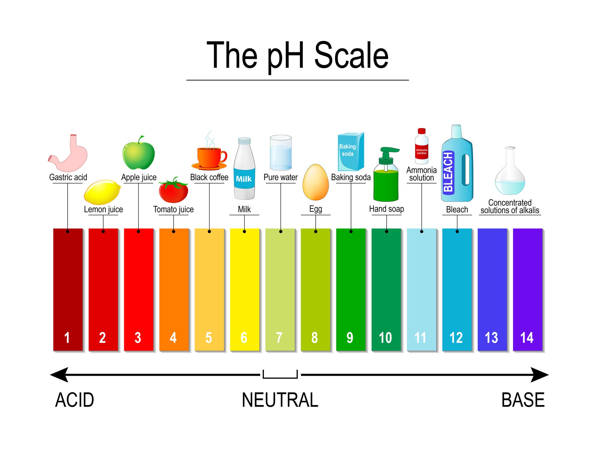 A pH scale of common foods in the alkaline diet for athletes