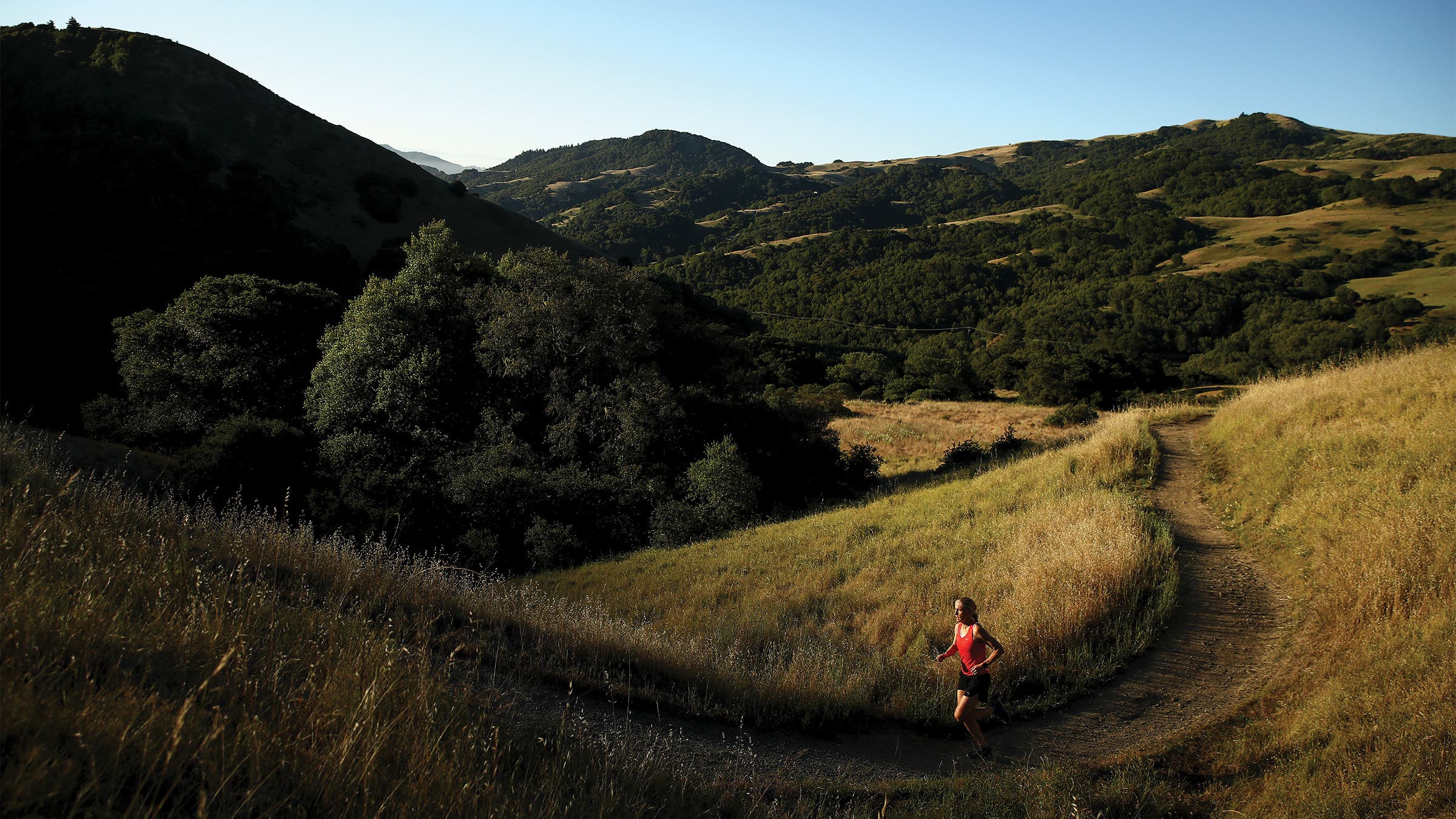 Athlete running through wine country in California