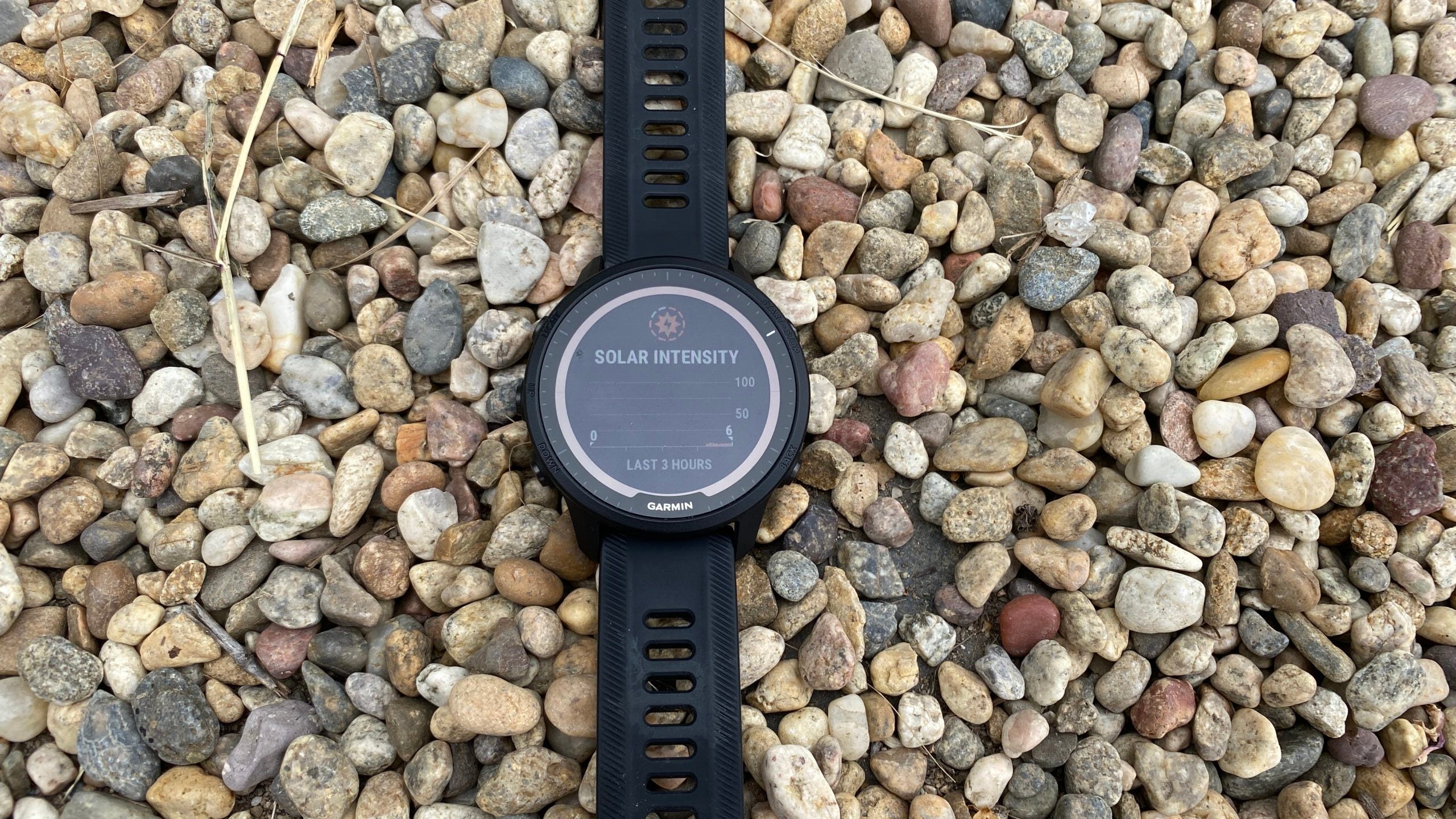 Extended Review: Garmin Forerunner 955 Smartwatch – Triathlete