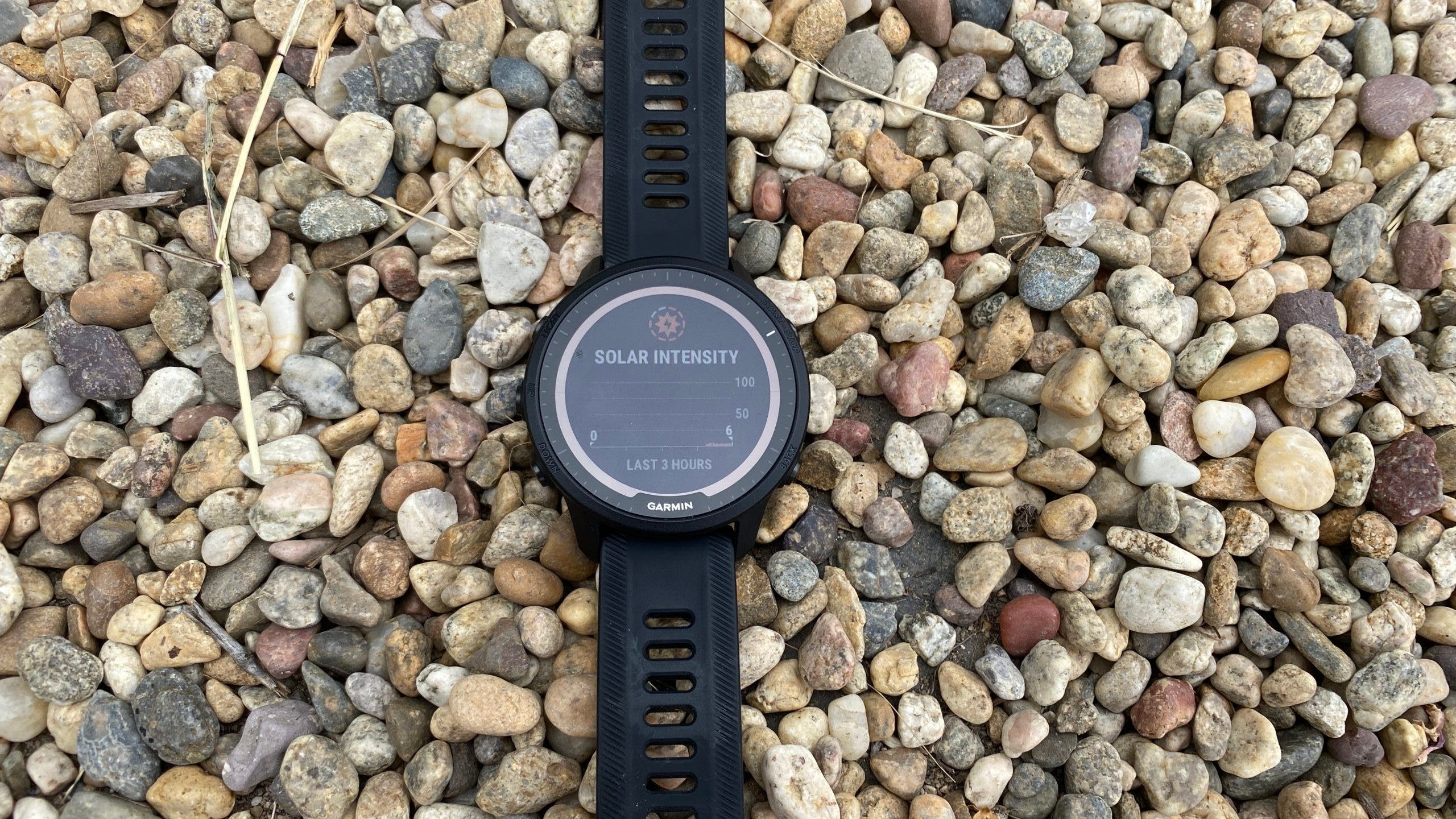 Extended Review: Garmin Forerunner 955 Smartwatch