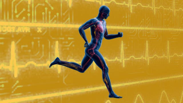 Sudden Cardiac Arrest on National TV: An Explainer and What it Means for Triathletes