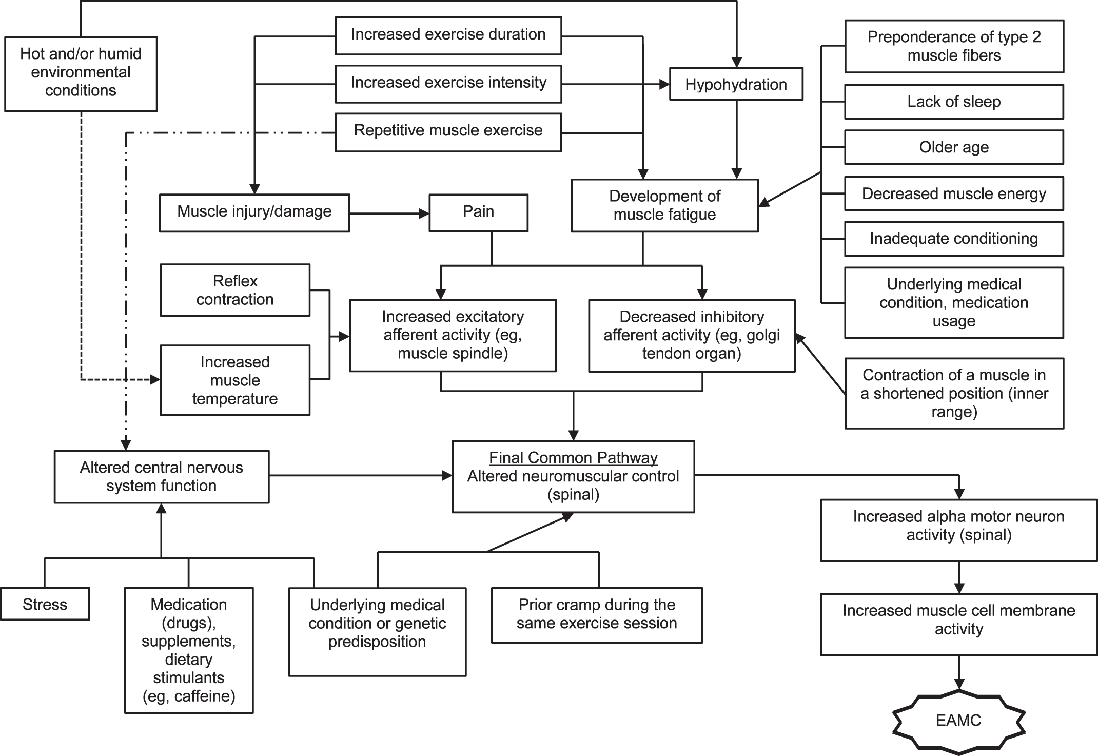 A flowchart of Causes of Cramping
