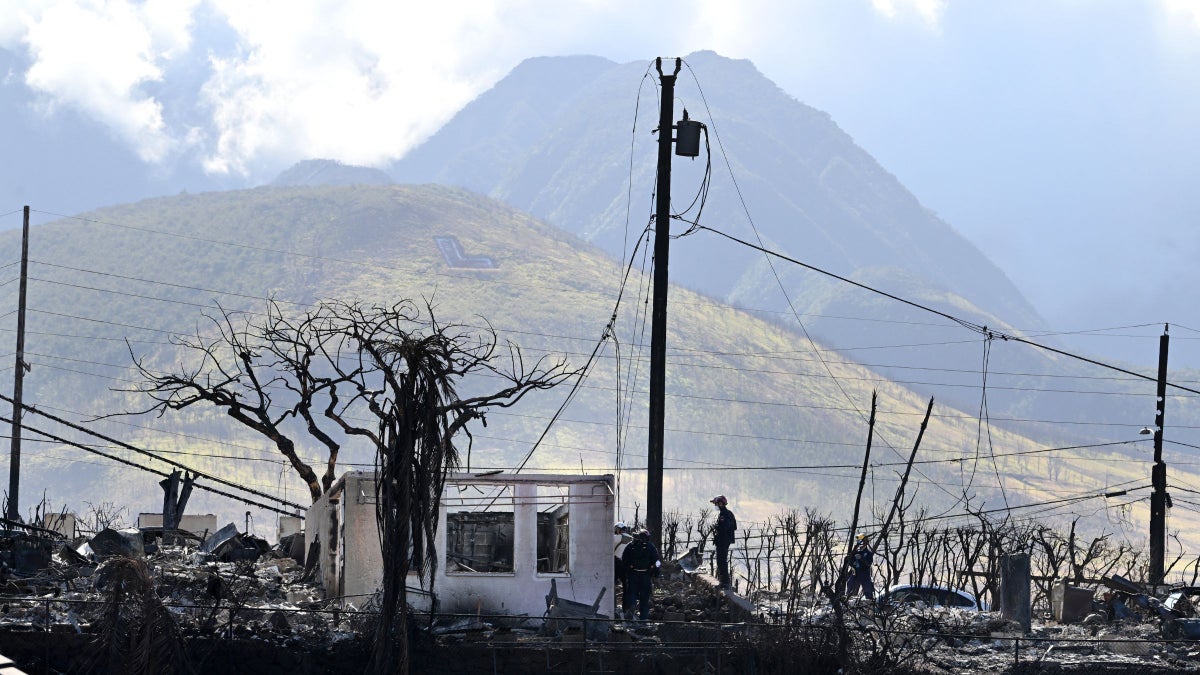 In The Wake of the Maui Fires, Here’s What You Can Do to Help