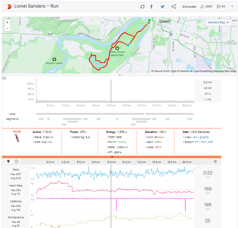 Lionel Sanders Run Power Strava