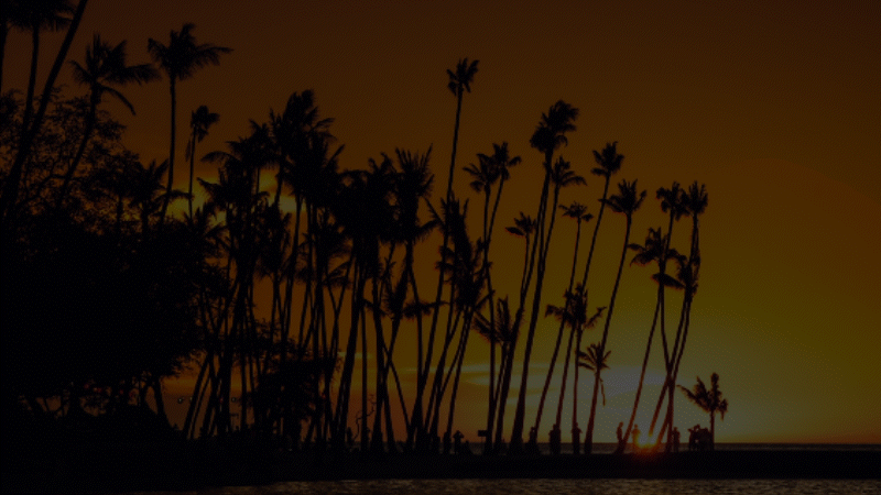 2023 Ironman World Championship Kona Bike Count - Front Hydration Motion Graphic