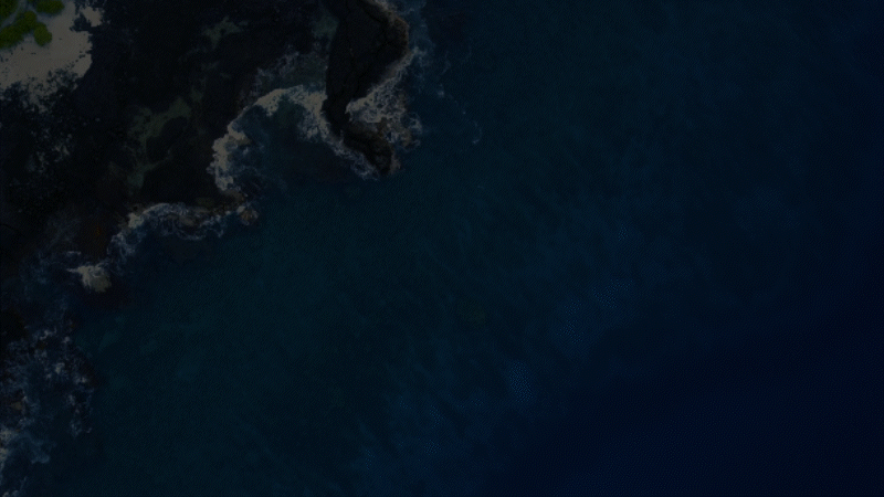 2023 Ironman World Championship Kona Bike Count - Aerobars Motion Graphic